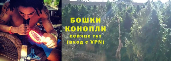 стаф Зеленодольск