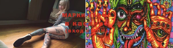 стаф Зеленодольск
