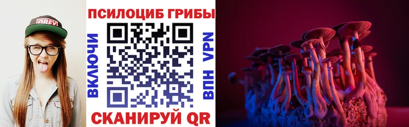 Купить где Котельниково Псилоцибиновые грибы Cubensis